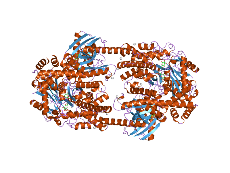 File:PDB 2nzt EBI.png