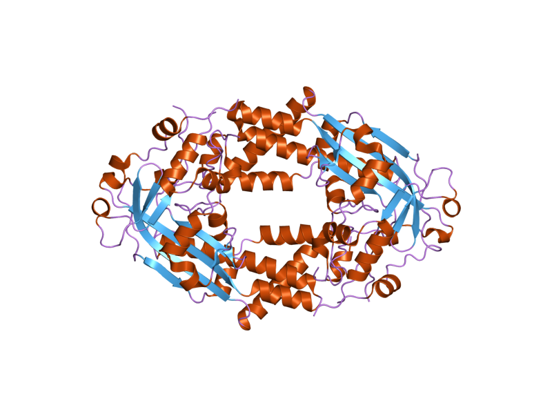 File:PDB 2o2k EBI.png