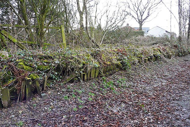 Parkhouse Halt railway station