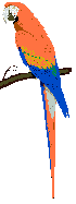 File:Parrot polyamory mascot.gif