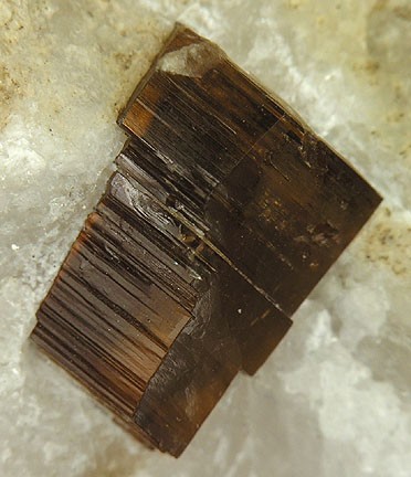 File:Phlogopite-157610.jpg