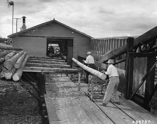 File:Photograph of Telephone Pole Peeling Plant - DPLA - 469a92bd6858fad1333e070d88546ce5.jpg