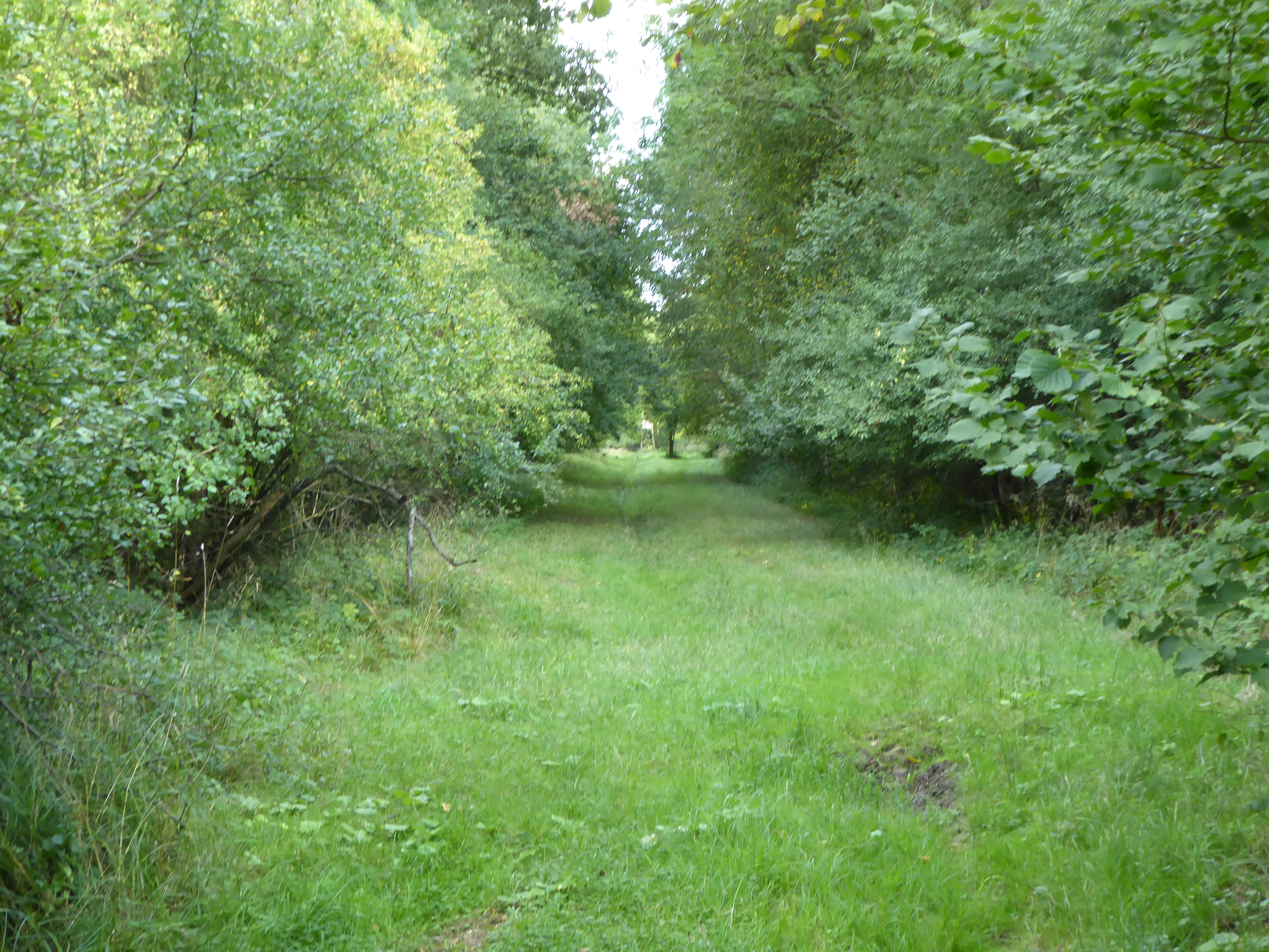 Clipsham Old Quarry and Pickworth Great Wood