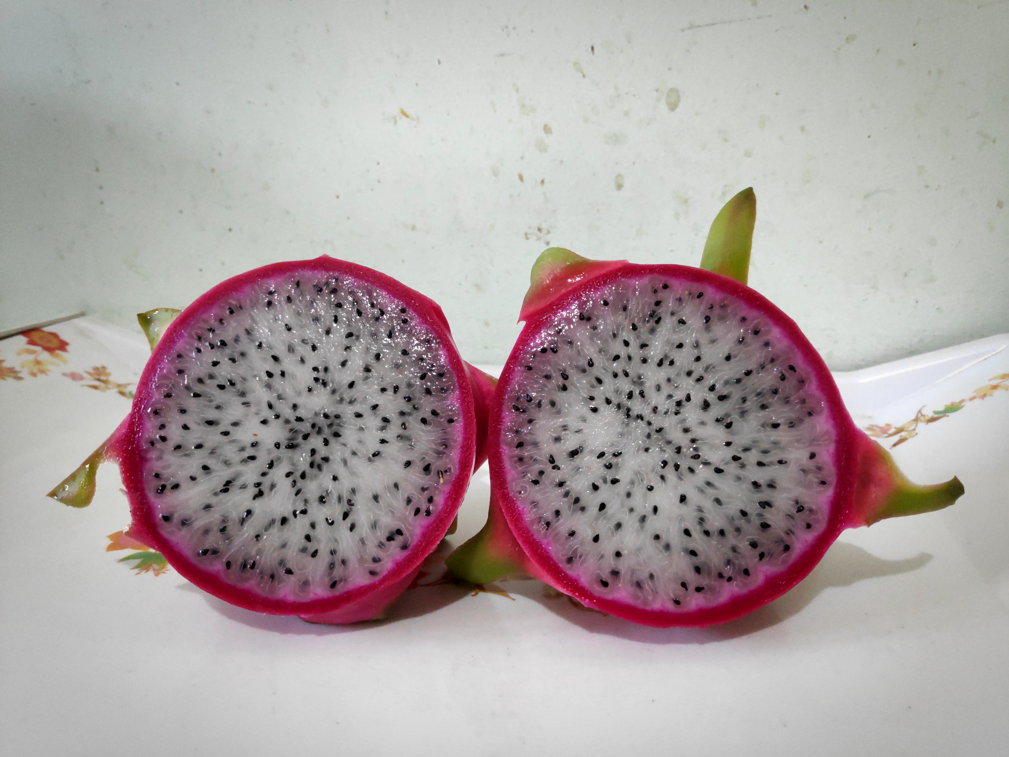 Pitaya Fruits .jpg