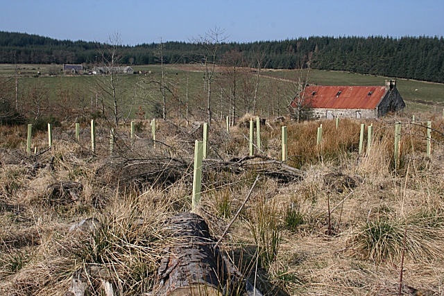 File:Saughs and Bailiesward - geograph.org.uk - 1231826.jpg