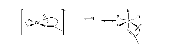 The hydrogenation of an alkene with an acetamido functional group