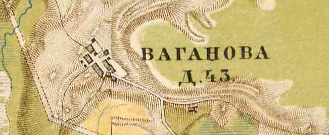 План деревни Ваганово. 1885 год