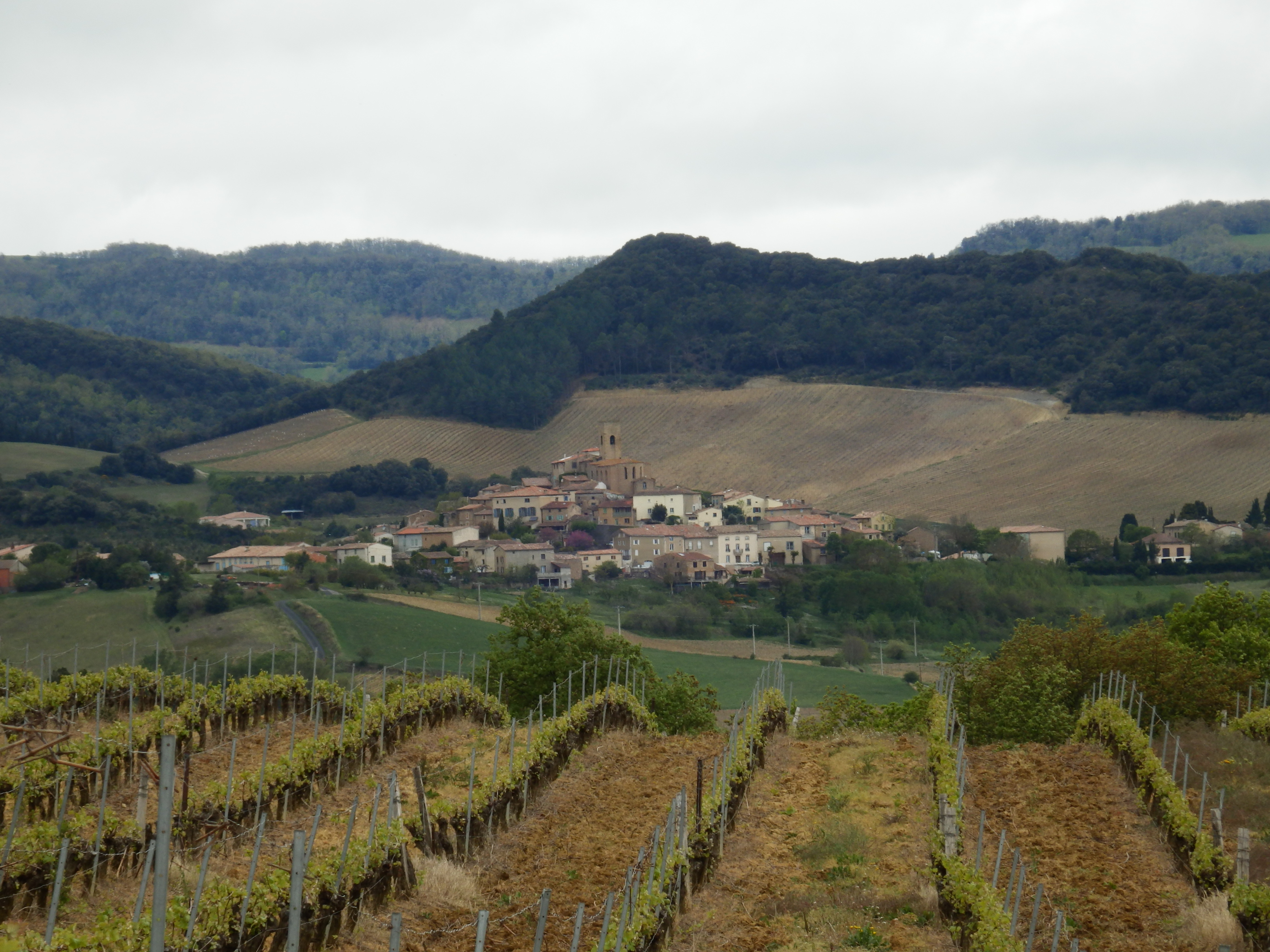 Villelongue-d'aude