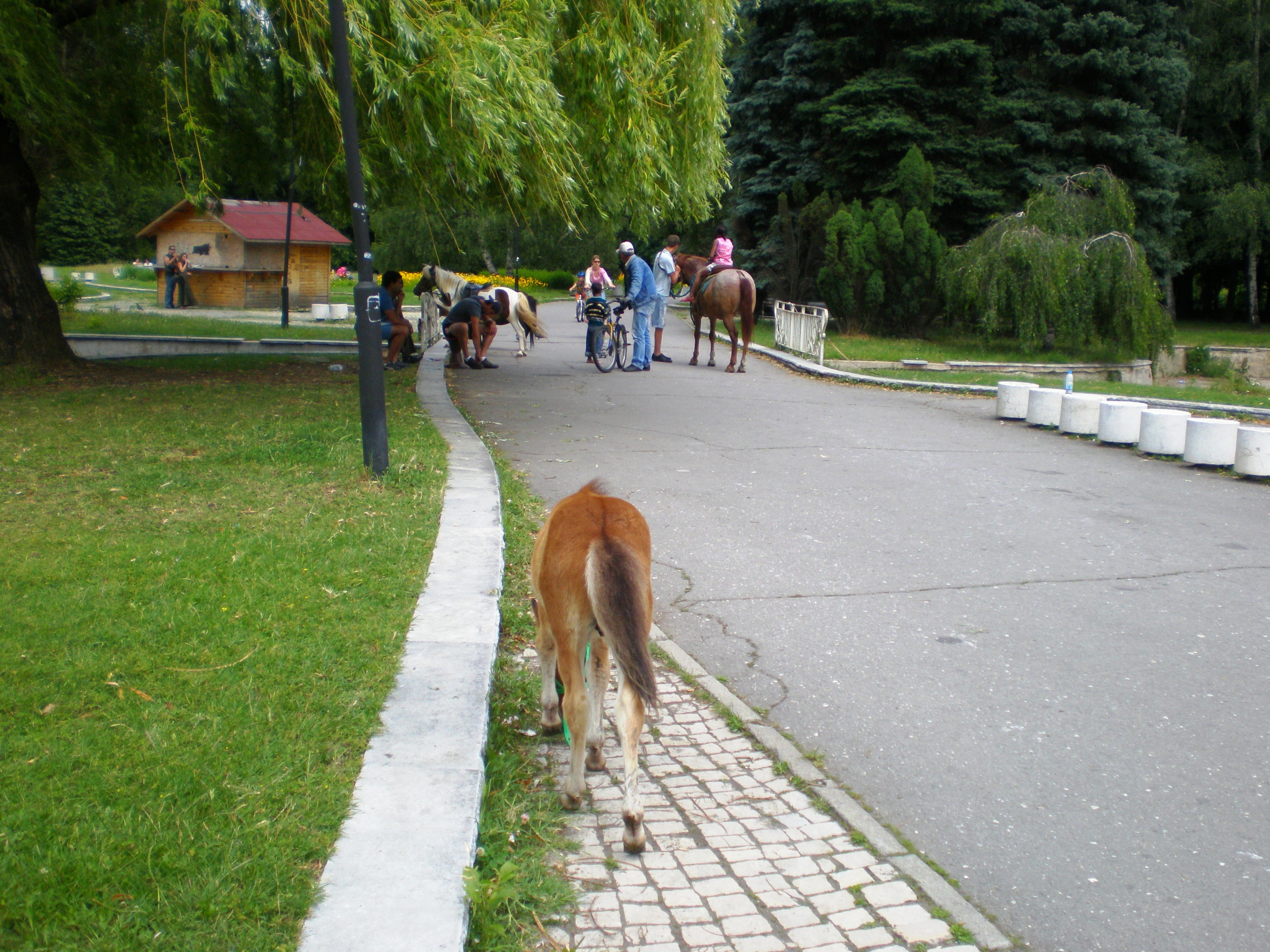 софия парка