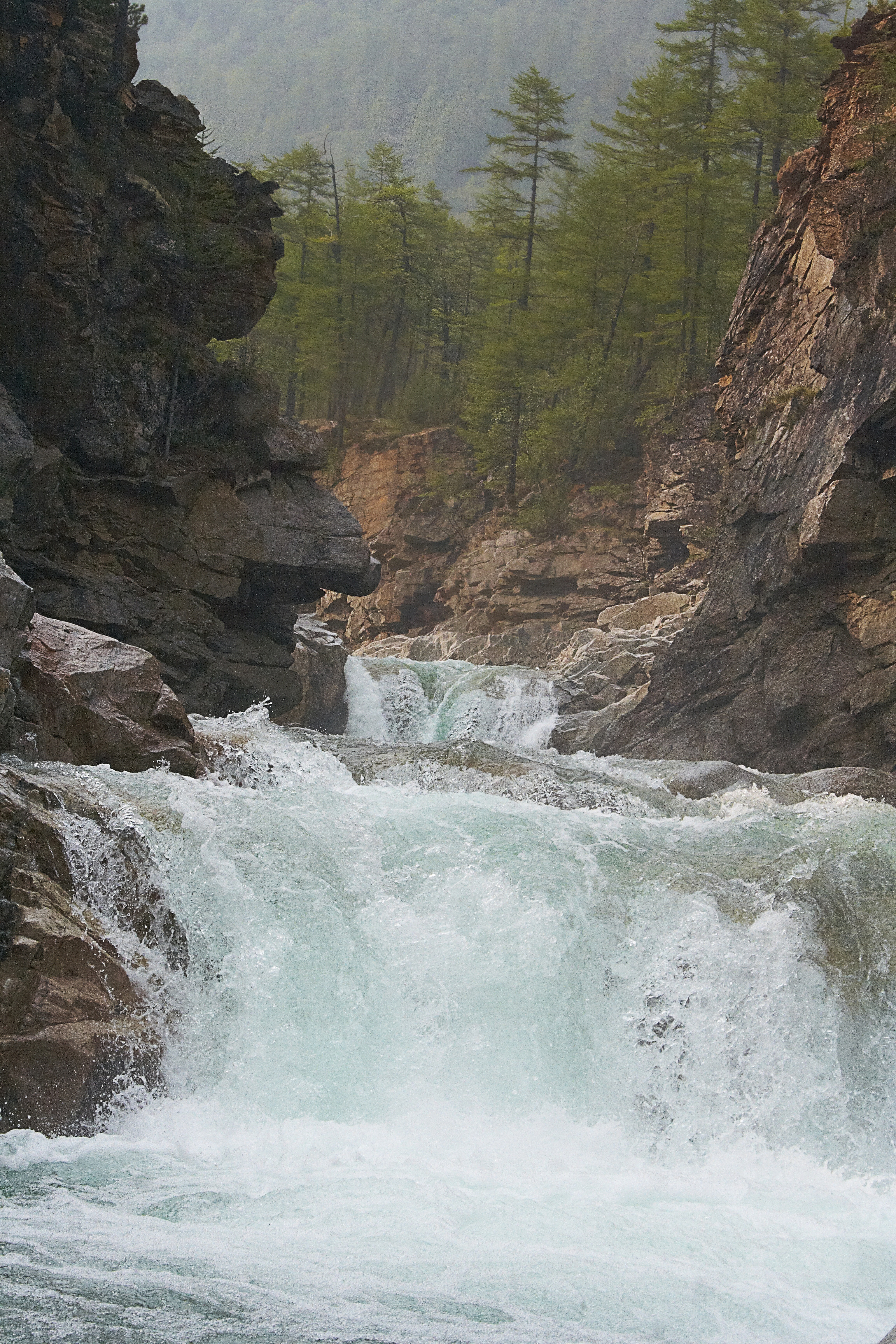 Сакукан река Кодар