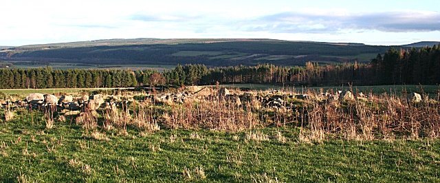 File:A Rickle o' Stanes - geograph.org.uk - 290295.jpg