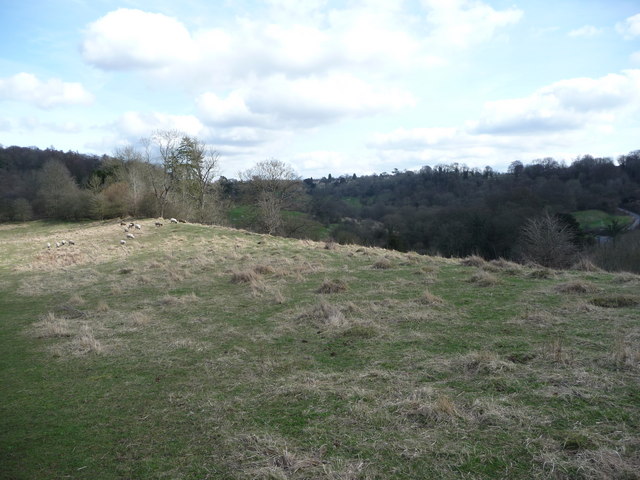 File:Beside the track above Daneway - geograph.org.uk - 1776177.jpg