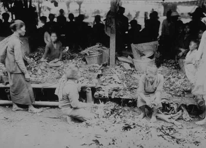 File:COLLECTIE TROPENMUSEUM Een warung op de markt van Jogjakarta met planten en kruiden waarmee medicijnen kunnen worden bereid TMnr 60042136.jpg