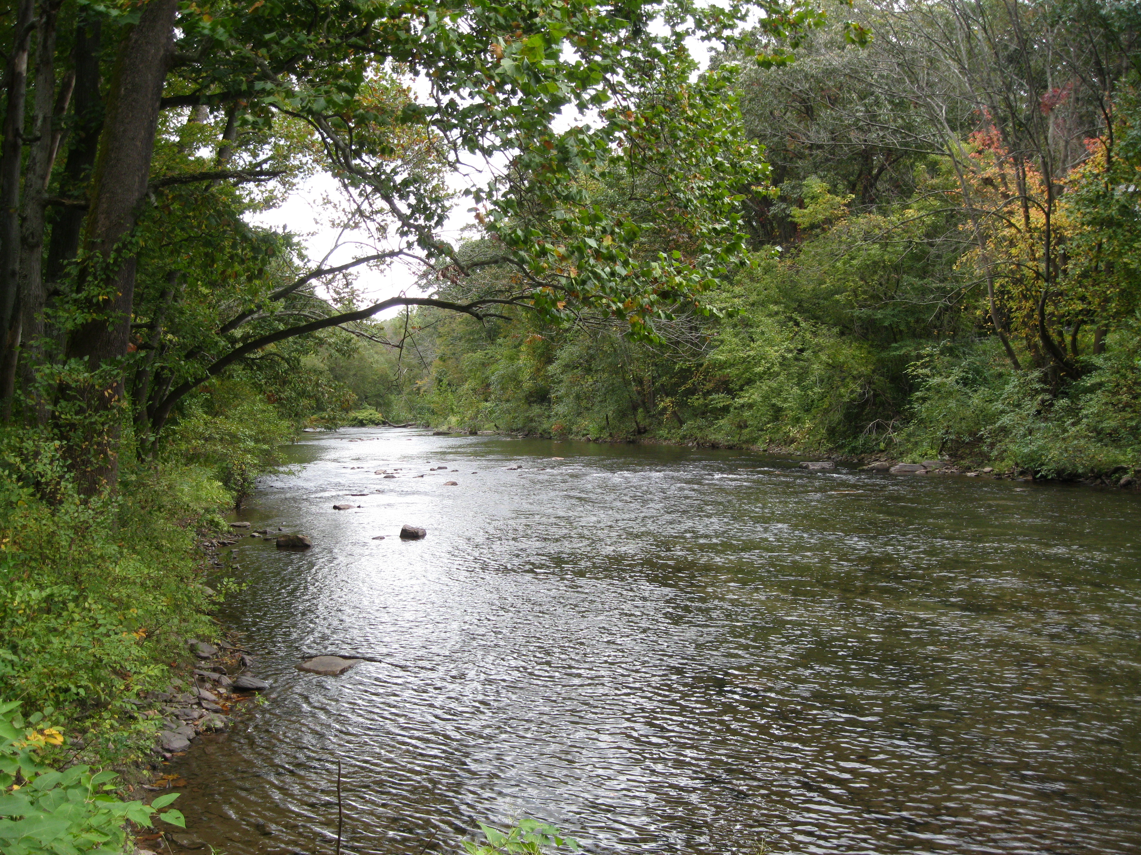 Photo of Catawissa Creek