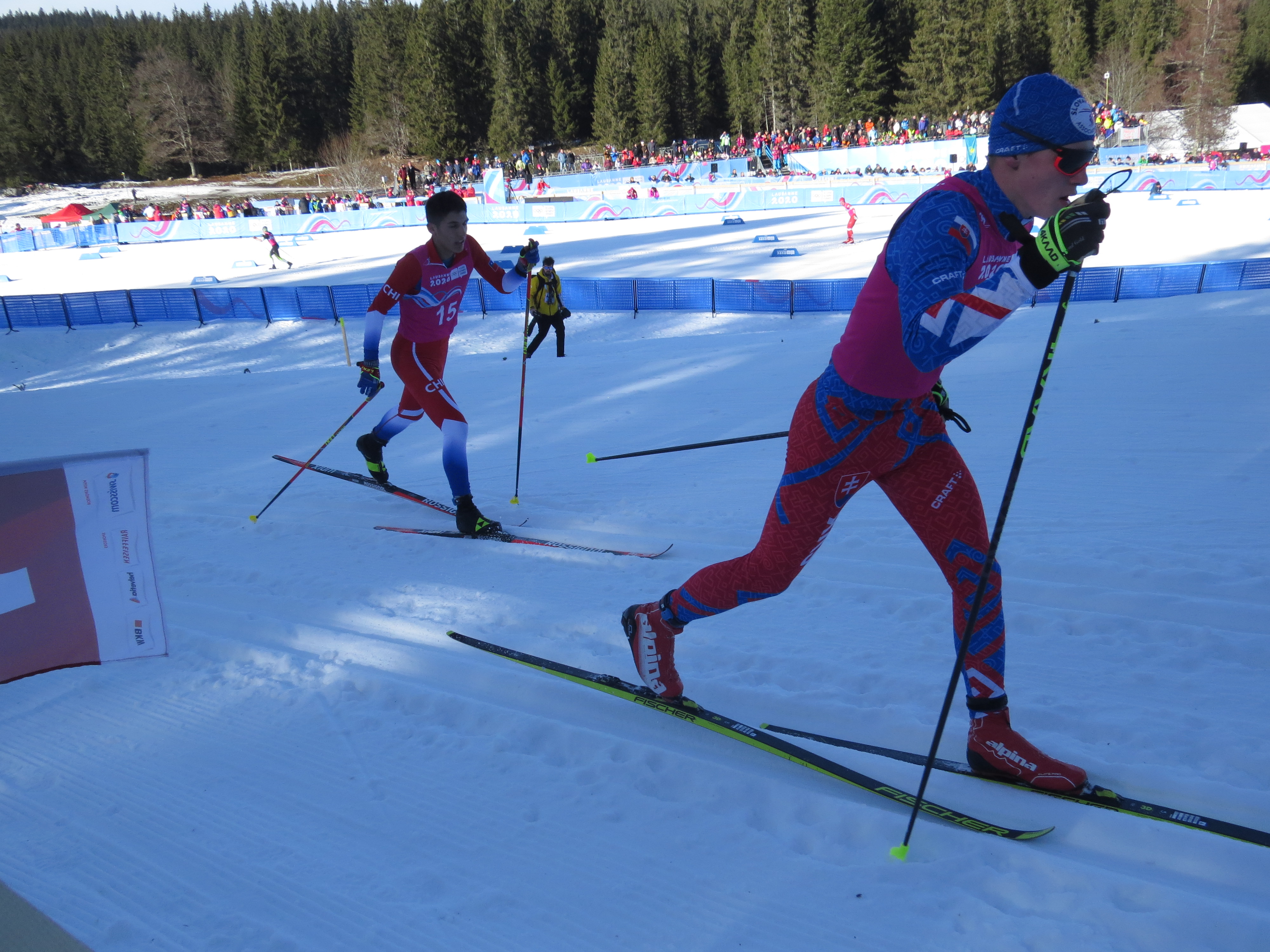 File:Cross-country skiing at the 2020 Winter Youth Olympics - 21 January 2020 - 71.jpg - Wikimedia Commons