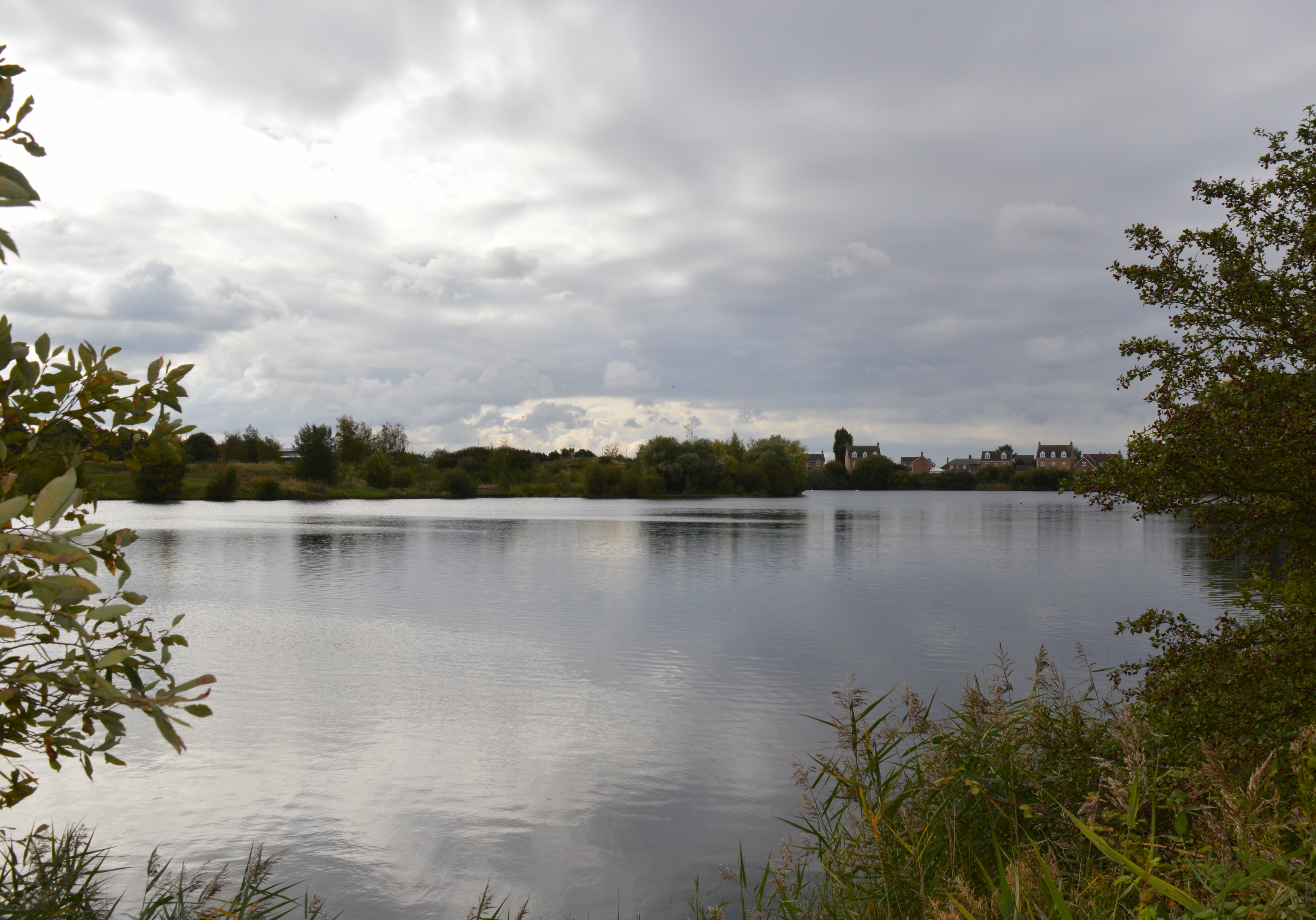 Eye Green Local Nature Reserve