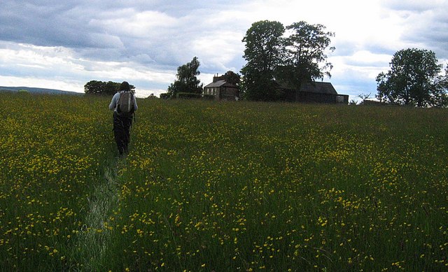 File:Footpath across Townhead Farm meadow - geograph.org.uk - 849109.jpg