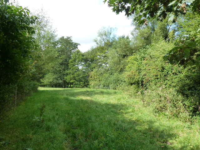 File:From the coal statue to the coal canal (38) - geograph.org.uk - 3660737.jpg