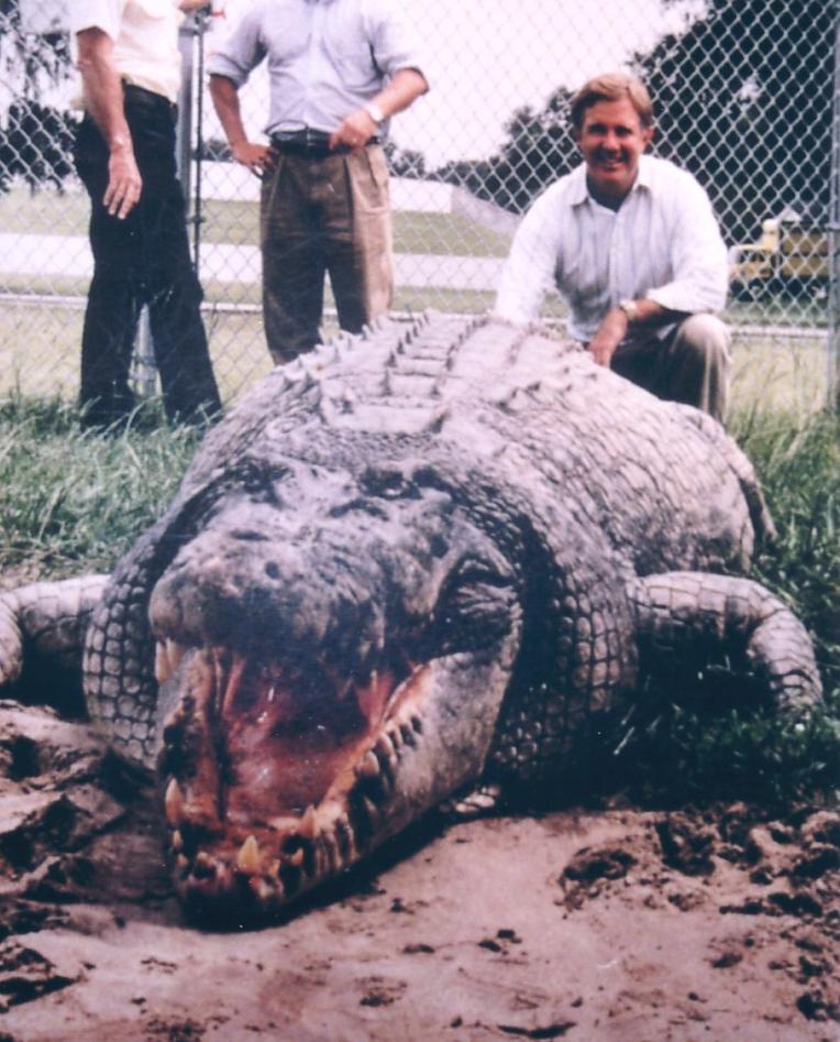 biggest alligator in the world