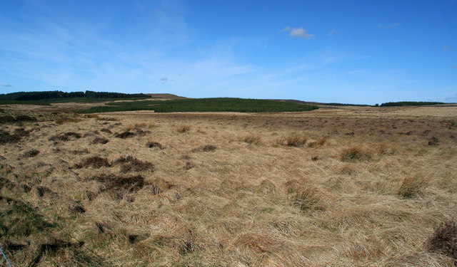 File:Great Wanney Crag - geograph.org.uk - 1248761.jpg