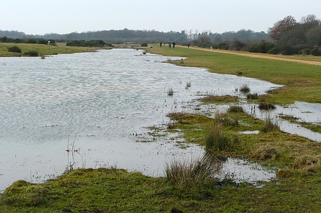 Greenham Common - geograph.org.uk - 1187356