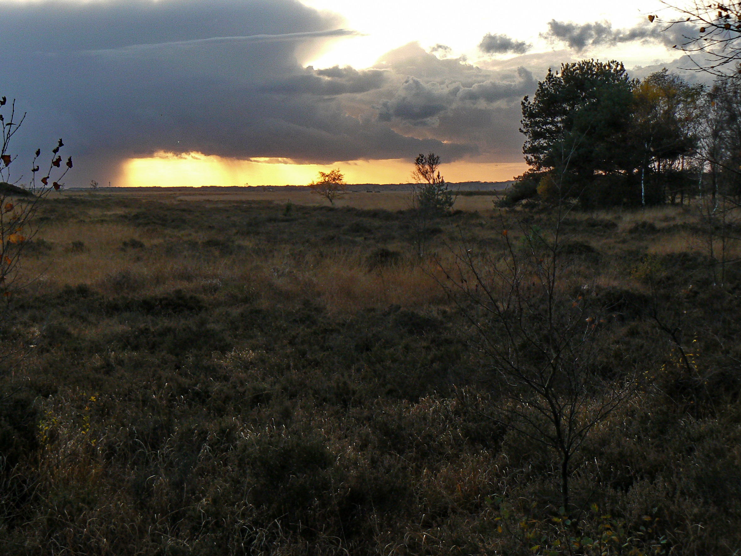 sunrise on the veld summary