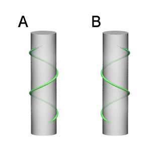 右巻き 左巻き Wikipedia