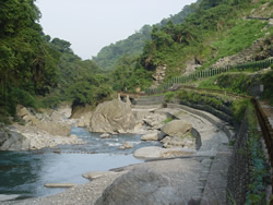 Fuyuan National Forest Recreation Area Forest in Ruisui, Hualien County, Taiwan