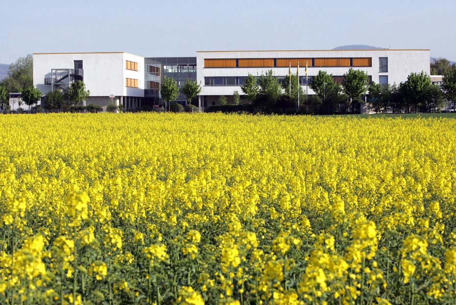 A view of ISF from the fields that surround it.