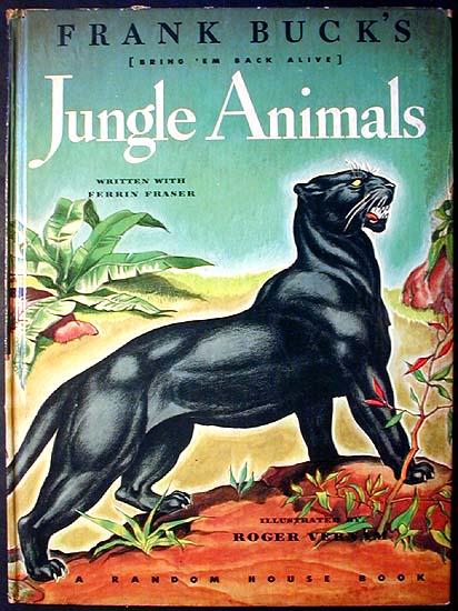 Jungle Animals - Wikipedia