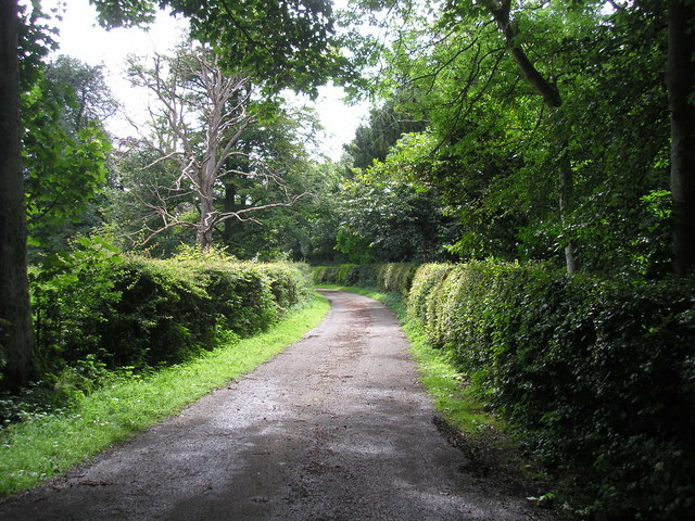 File:Lane - geograph.org.uk - 529209.jpg