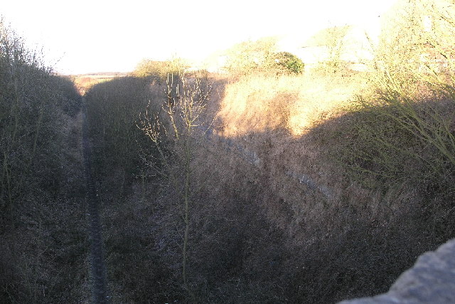 File:Limestone Cutting - geograph.org.uk - 119413.jpg