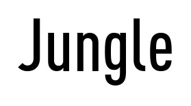 jungle  Tradução de jungle no Dicionário Infopédia de Inglês