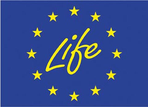 The LIFE Programme - Wikipedia