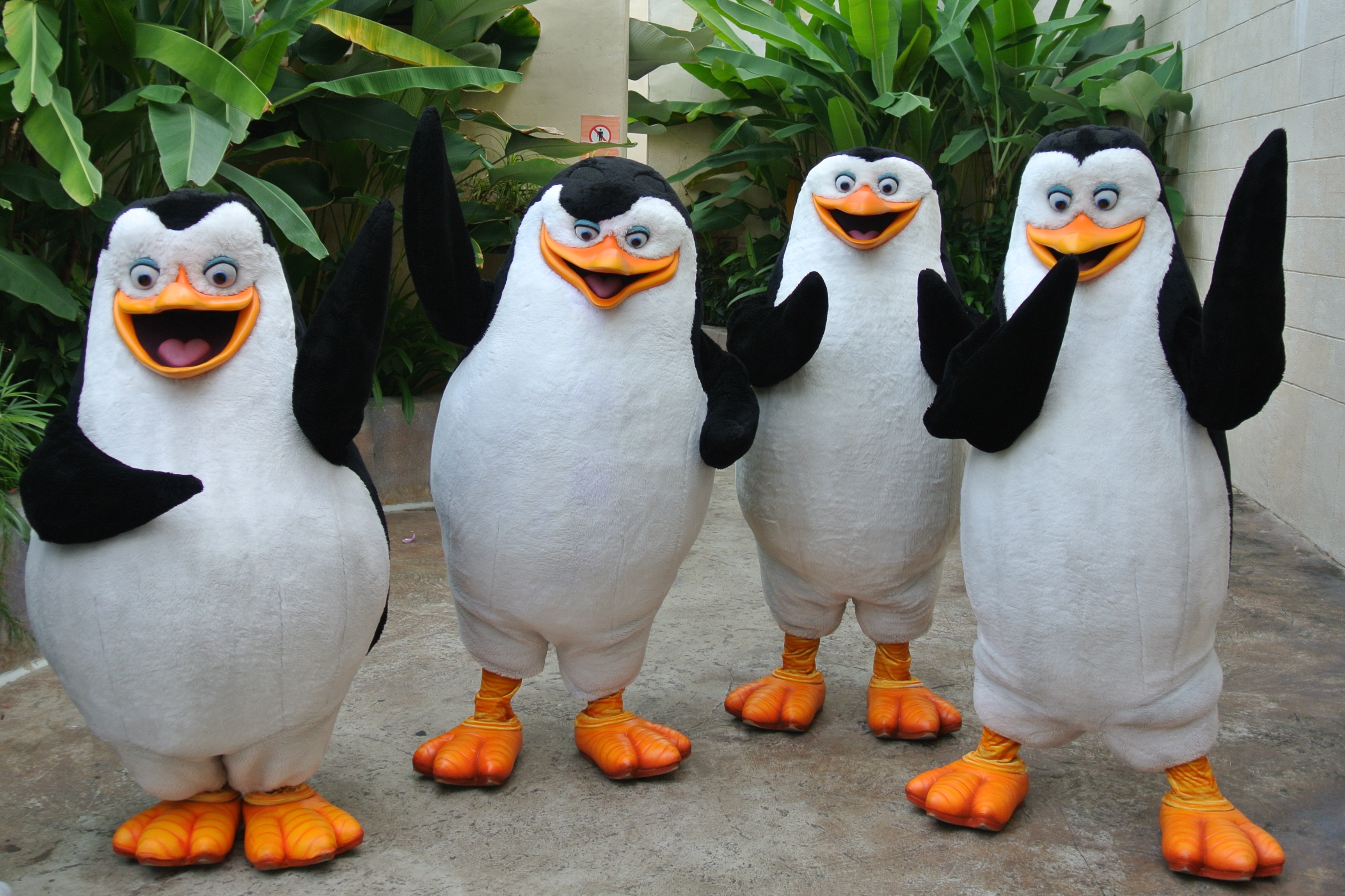 Pinguinos de madagascar personajes