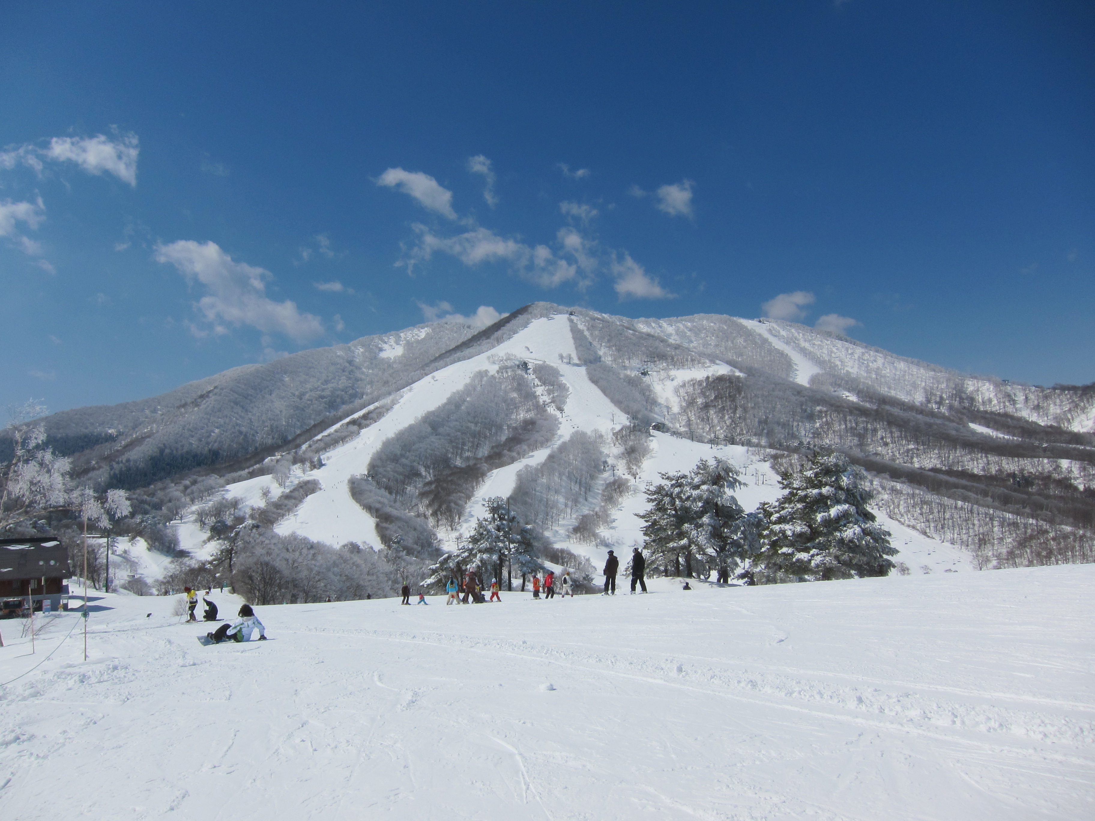 斑尾高原スキー場 - Wikipedia