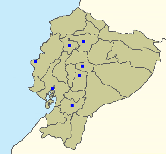 Ecuadorian Serie A - Wikipedia