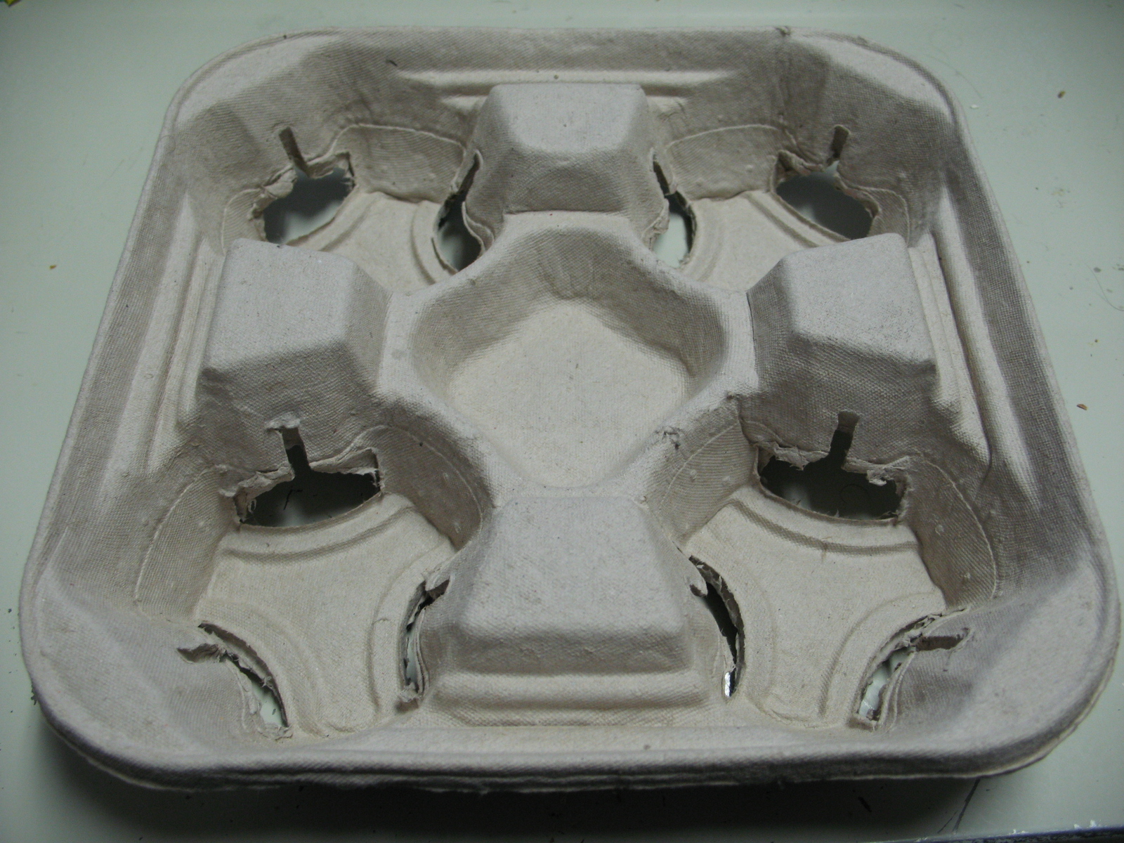 Disposable Food Trays: Lunch Trays, Packaging Trays, & More