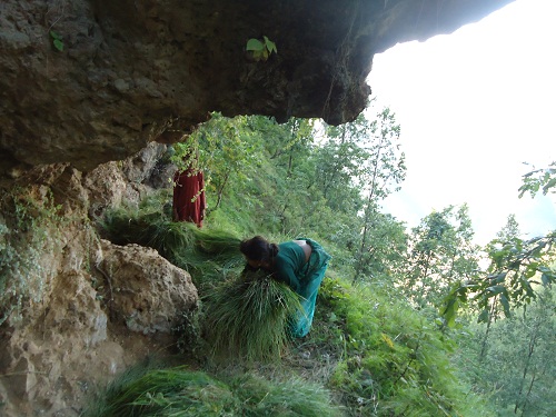 File:Nuwakot forest site.JPG