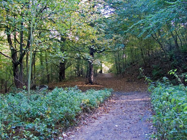 Path up the Ercall - geograph.org.uk - 1027428