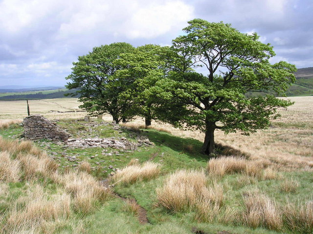 Pimms - geograph.org.uk - 174528