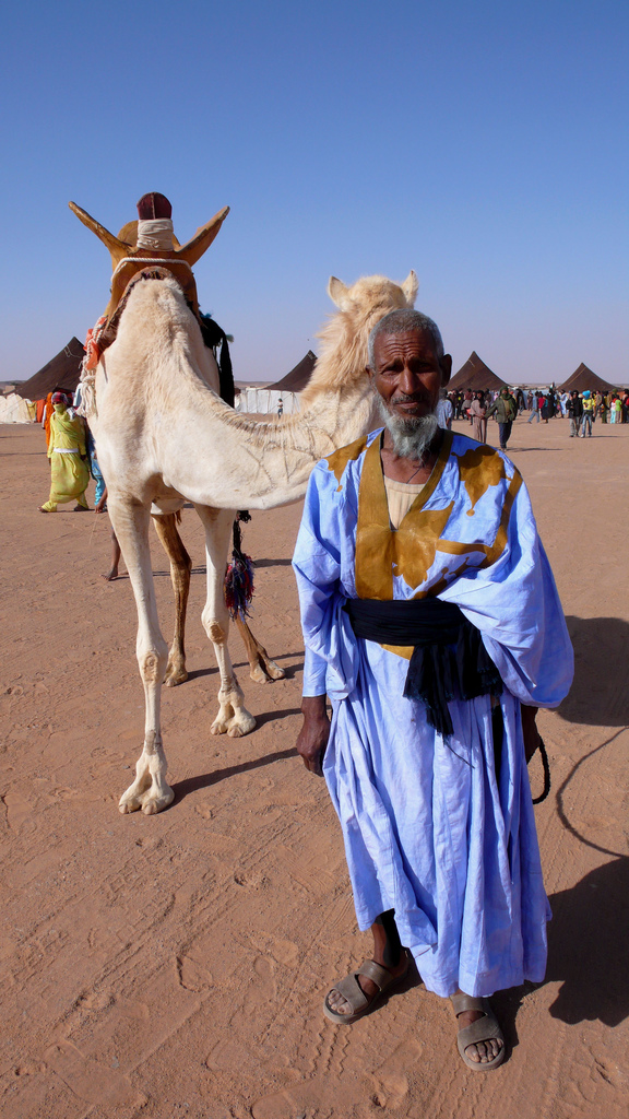 A Camel Ride Through the Endless Sands