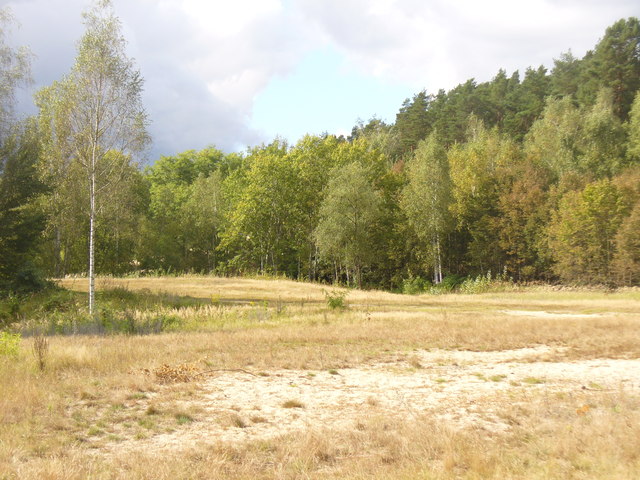 File:Sandgrube im Jagen 86 des Grunwaldes - geo.hlipp.de - 28490.jpg