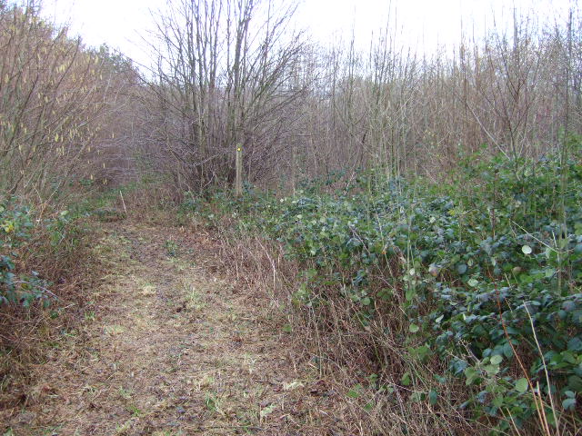 File:Scarcliffe Park - geograph.org.uk - 308556.jpg