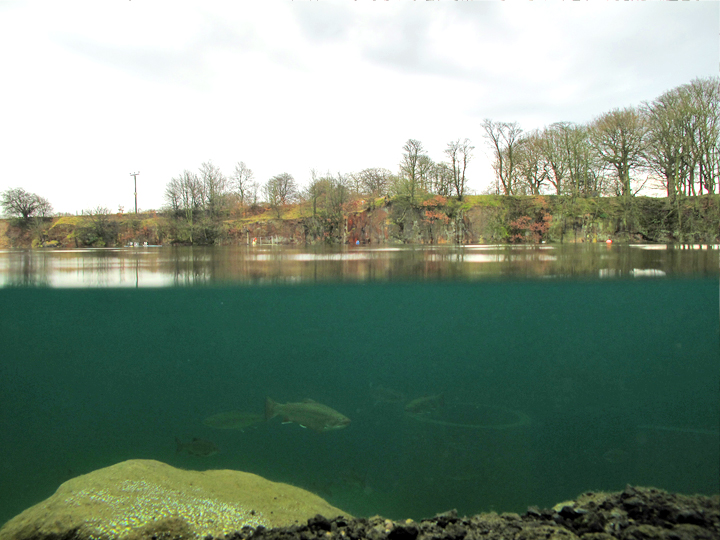 Scuba Diving at Eccleston Delph