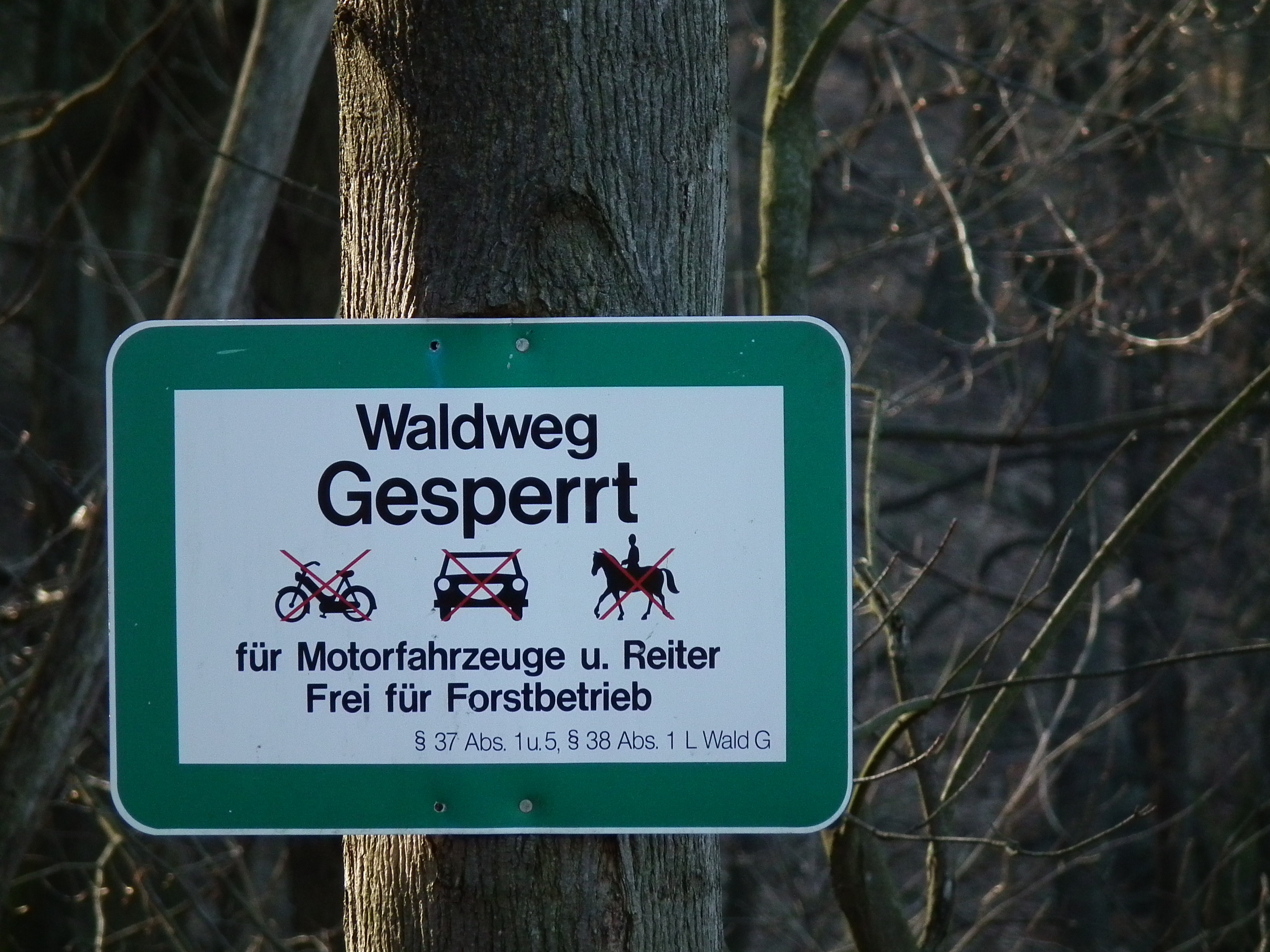 File:Sperrung Waldweg - Schild mit Symbolen.JPG - Wikimedia Commons