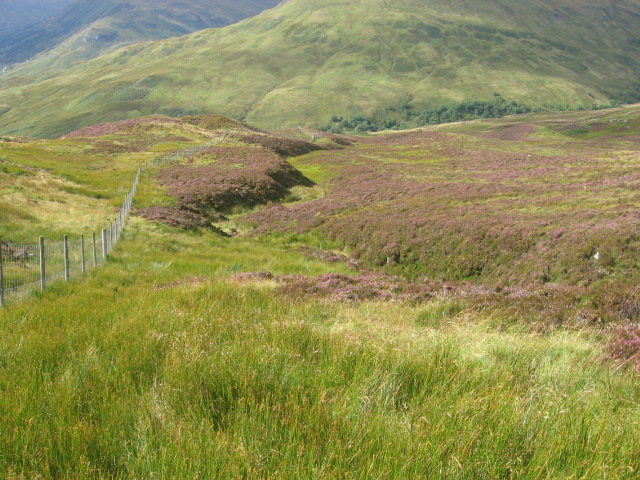 File:Stuc Odhar hillside - geograph.org.uk - 544340.jpg