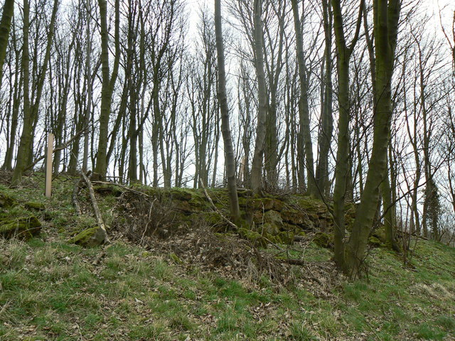 File:Temple ruins - geograph.org.uk - 352328.jpg