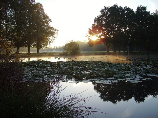 File:The pond on Yateley Green - geograph.org.uk - 645824.jpg