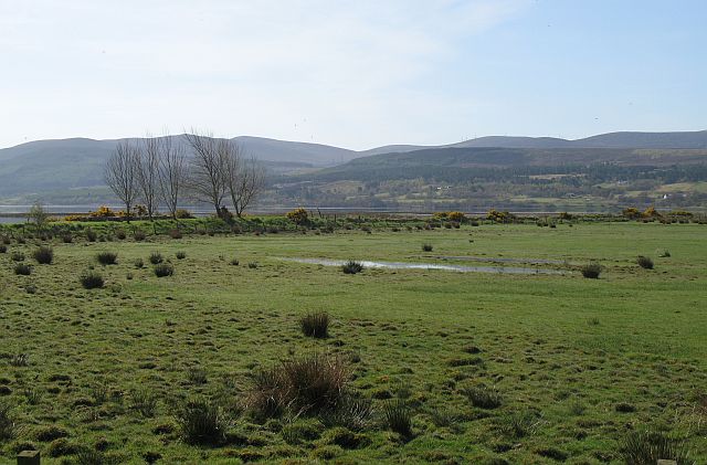 File:Wet farmland opposite Bonar Bridge - geograph.org.uk - 797620.jpg